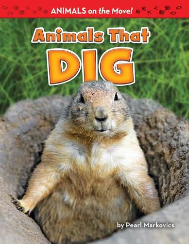 Cover image for Animals That Dig
