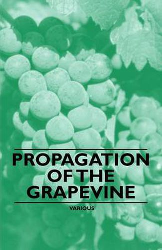 Cover image for Propagation of the Grapevine