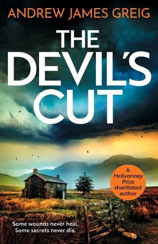 Cover image for The Devil's Cut