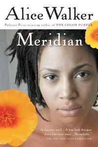 Cover image for Meridian