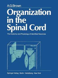Cover image for Organization in the Spinal Cord: The Anatomy and Physiology of Identified Neurones