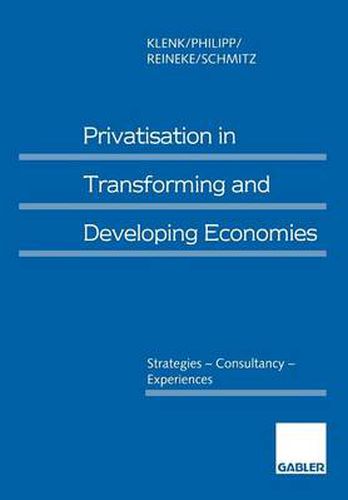 Privatization in Transforming and Developing Countries: Strategies - Consultancy - Advisory Services (in Englischer Sprache)