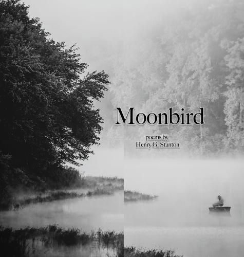 Cover image for Moonbird