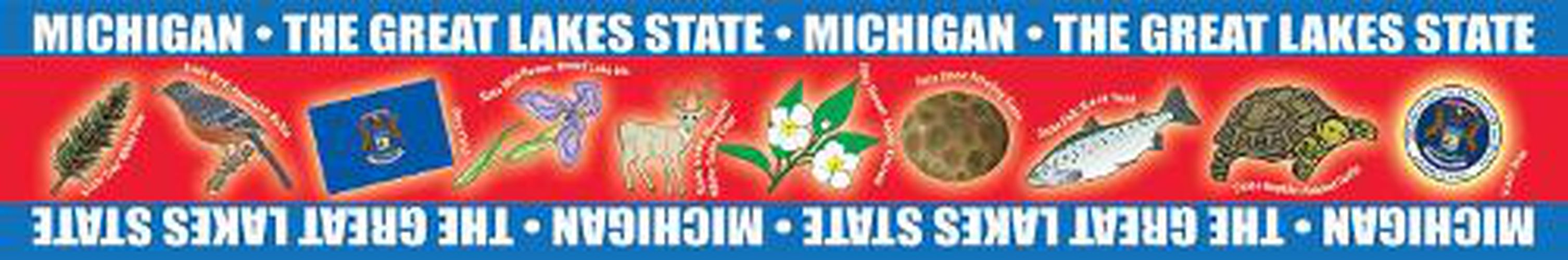 Cover image for Michigan Borders for Bulletin Boards
