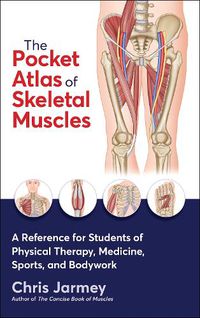 Cover image for The Pocket Atlas of Skeletal Muscles