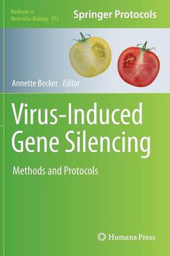 Cover image for Virus-Induced Gene Silencing: Methods and Protocols