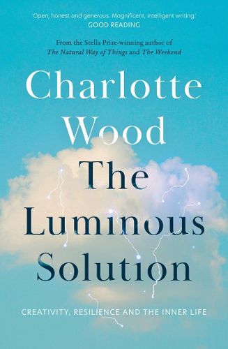 Cover image for The Luminous Solution