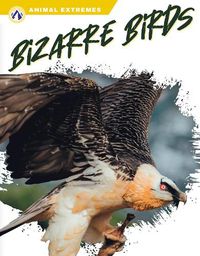 Cover image for Bizarre Birds