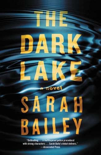 Cover image for The Dark Lake