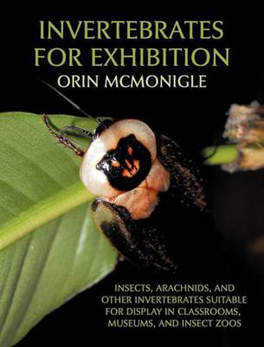 Cover image for Invertebrates For Exhibition: Insects, Arachnids, and Other Invertebrates Suitable for Display in Classrooms, Museums, and Insect Zoos