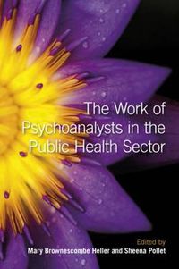 Cover image for The Work of Psychoanalysts in the Public Health Sector