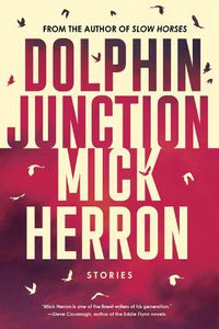 Cover image for Dolphin Junction: Stories
