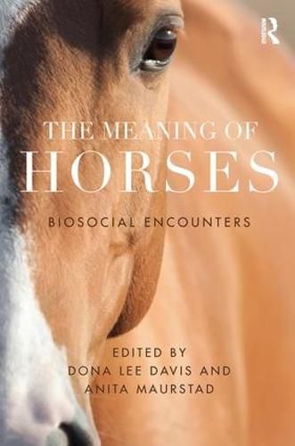 Cover image for The Meaning of Horses: Biosocial Encounters