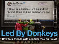 Cover image for Led by Donkeys: How four friends with a ladder took on Brexit