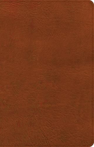 Cover image for NASB Large Print Thinline Bible, Burnt Sienna Leathertouch