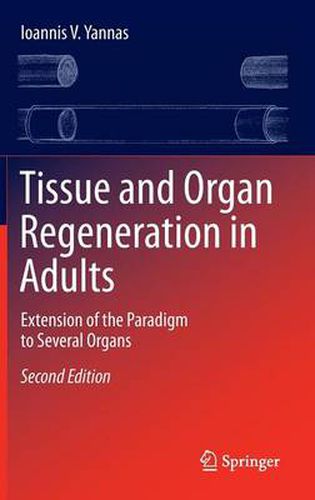 Tissue and Organ Regeneration in Adults: Extension of the Paradigm to Several Organs