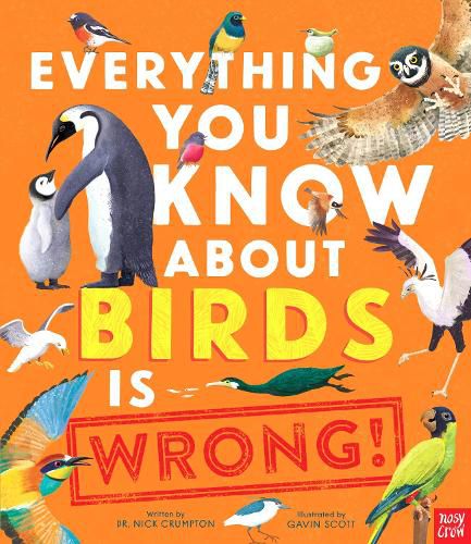 Cover image for Everything You Know About Birds is Wrong!