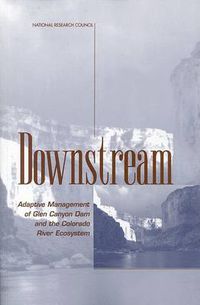 Cover image for Downstream