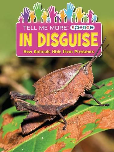 Cover image for In Disguise: How Animals Hide from Predators