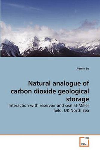 Cover image for Natural Analogue of Carbon Dioxide Geological Storage