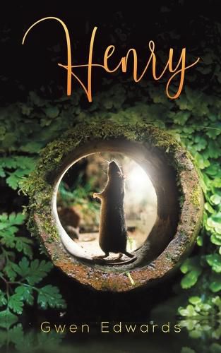 Cover image for Henry