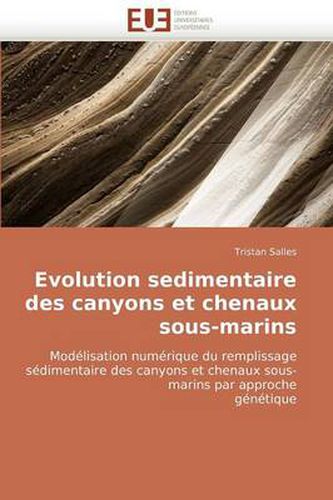 Cover image for Evolution Sedimentaire Des Canyons Et Chenaux Sous-Marins