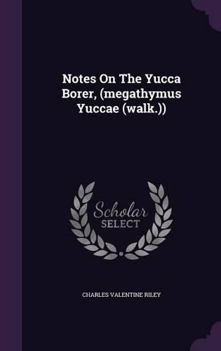 Notes on the Yucca Borer, (Megathymus Yuccae (Walk.))