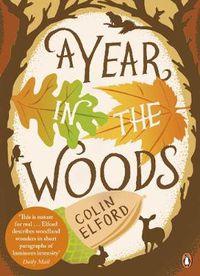 Cover image for A Year in the Woods: The Diary of a Forest Ranger