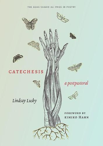 Cover image for Catechesis: A Postpastoral