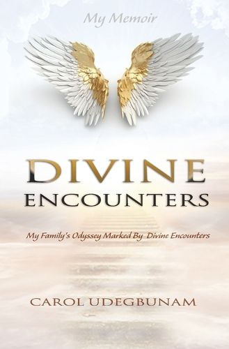 Cover image for Divine Encounters