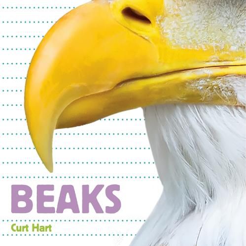 Cover image for Beaks