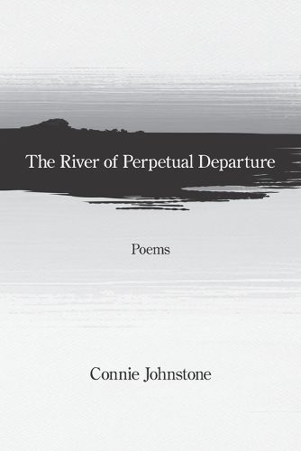 Cover image for The River of Perpetual Departure
