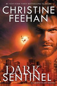 Cover image for Dark Sentinel