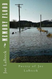 Cover image for Memory Flood