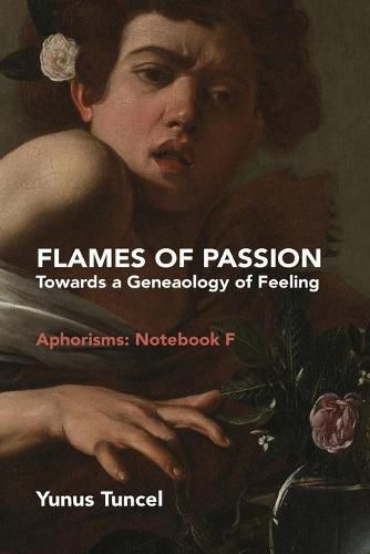 Cover image for Flames of Passion: Towards of a Genealogy of Feeling Aphorisms: Notebook F