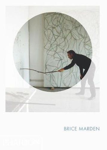 Cover image for Brice Marden: Phaidon Focus