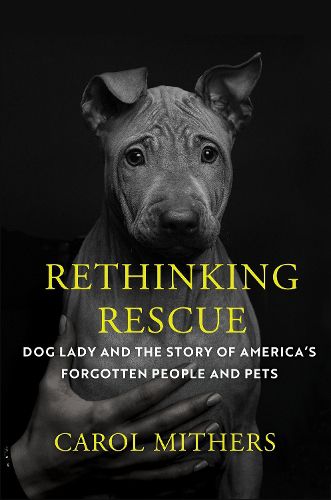 Cover image for Rethinking Rescue