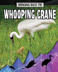 Cover image for Bringing Back the Whooping Crane