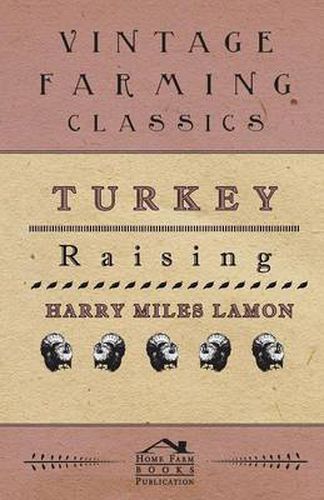 Cover image for Turkey Raising