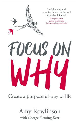 Cover image for Focus on Why