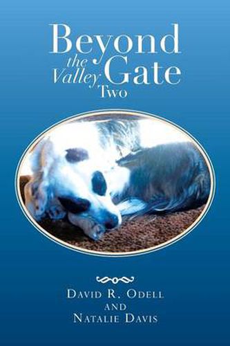 Cover image for Beyond the Valley Gate Two