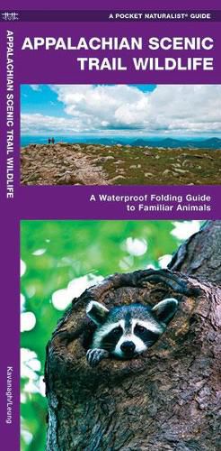 Cover image for Appalachian Scenic Trail Wildlife: A Waterproof Folding Guide to Familiar Animals