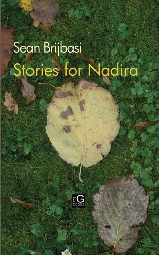 Cover image for Stories for Nadira