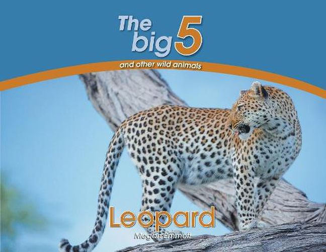 Leopard: The Big 5 and other wild animals, Megan Emmett (9780639300047 ...