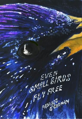 Cover image for even small birds fly free