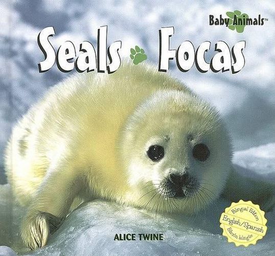 Cover image for Seals / Focas