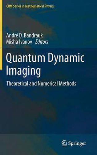 Cover image for Quantum Dynamic Imaging: Theoretical and Numerical Methods