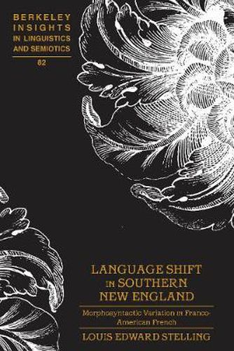 Cover image for Language Shift in Southern New England: Morphosyntactic Variation in Franco-American French