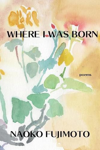 Cover image for Where I Was Born