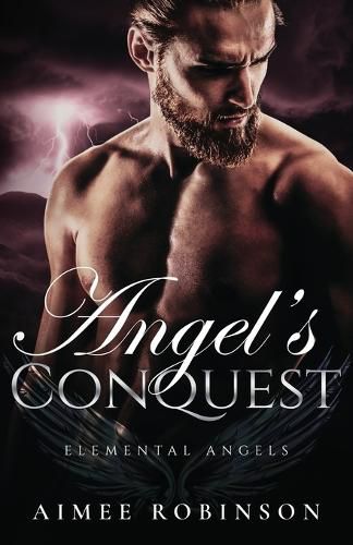 Cover image for Angel's Conquest